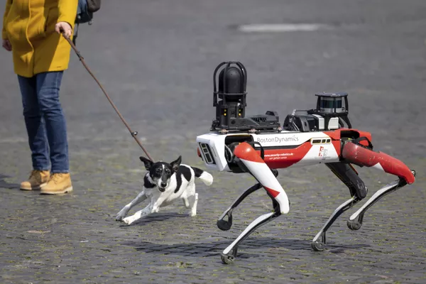 ドイツ・エアフルトの大聖堂広場を歩くボストンダイナミクス社のロボット犬「Spot」 ドイツ・エアフルトの大聖堂広場を歩くボストンダイナミクス社のロボット犬「Spot」 - Sputnik 日本