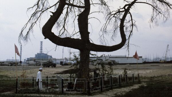 Сосна в 500 метрах от Чернобыльской АЭС - Sputnik 日本