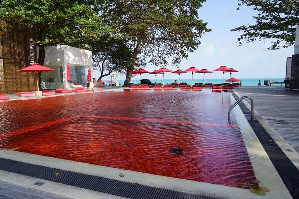 タイ・サムイ島にあるホテル「The Library」の真っ赤なプール。床に赤いタイルが敷かれており、水は透明 - Sputnik 日本