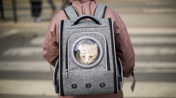リュックサックで猫を運ぶ女性  - Sputnik 日本