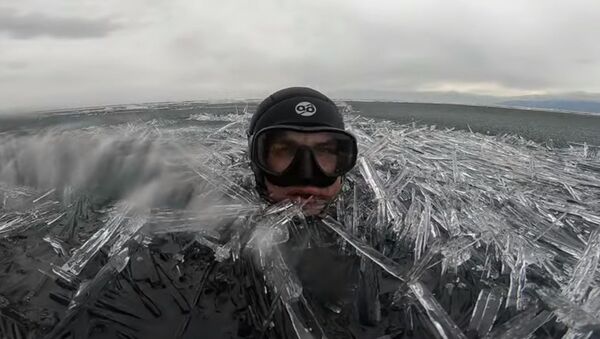 Swimming in an Ocean of Ice Needles - Sputnik 日本