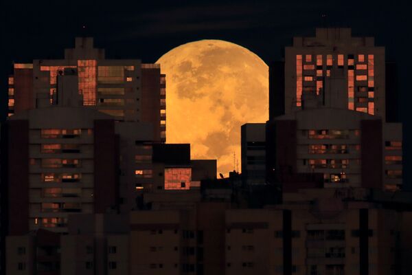 ブラジル・ブラジリアで観測された皆既月食 - Sputnik 日本