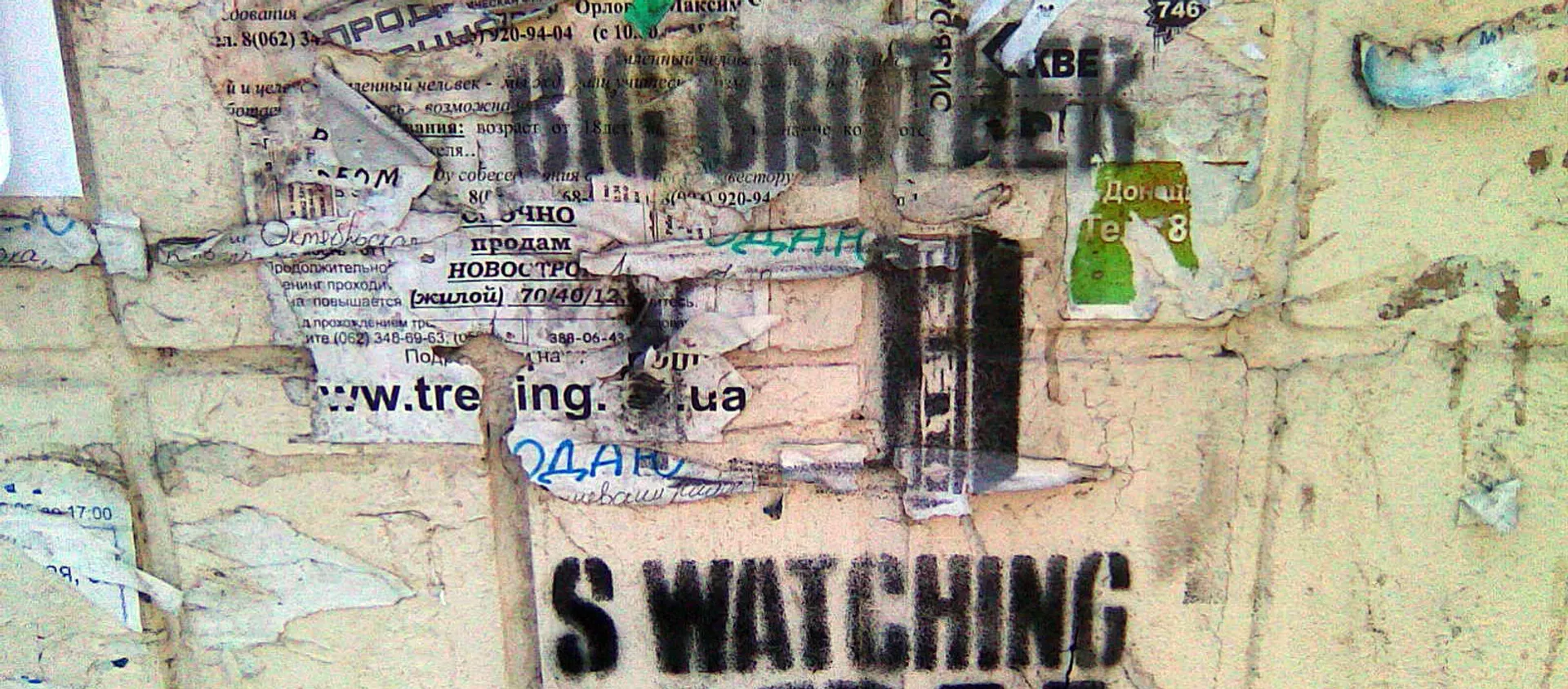「ビッグ・ブラザーがあなたを見守っている（Big Brother is watching you）」 - Sputnik 日本, 1920, 29.05.2021