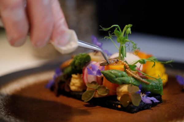 パリのレストラン「Inoveat」で、料理の仕上げにコオロギを乗せるシェフのローラン・ヴェイエさん - Sputnik 日本