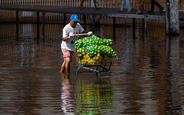 ブラジル・マナウス中心部で、川の氾濫で冠水した道路で果物の入ったカートを押す男性 - Sputnik 日本
