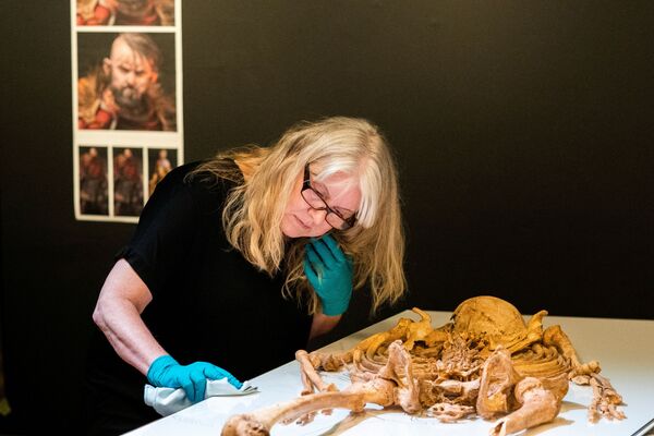 デンマーク国立博物館で、英国から運ばれたバイキングの骨を並べる職員 - Sputnik 日本