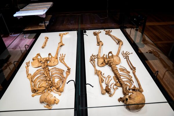 デンマーク国立博物館のショーケースに展示された、約1000年前に生き別れたバイキングの人骨 - Sputnik 日本