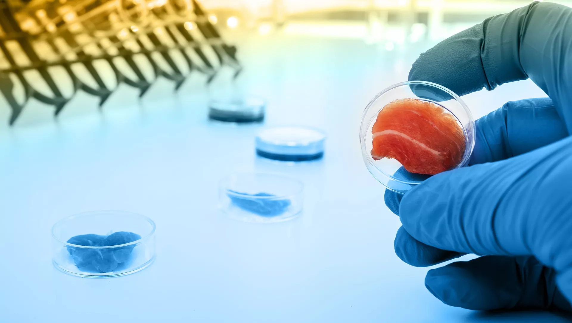 世界初の人工肉製造工場が操業開始
