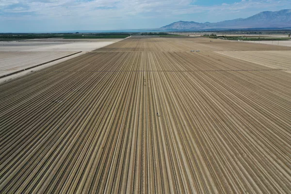 米カリフォルニア州メッカの農地 米カリフォルニア州メッカの農地 - Sputnik 日本