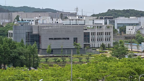 武漢市の研究所 - Sputnik 日本
