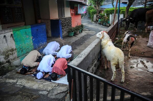 インドネシアの路上で、イスラム教の犠牲祭「イード・アル＝アドハー」を迎え、祈りをささげるイスラム教徒ら - Sputnik 日本