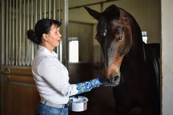 ロシアの馬場馬術代表のイネッサ・メルクロワ選手(56)。東京五輪では個人・団体競技に出場 ロシアの馬場馬術代表のイネッサ・メルクロワ選手(56)。東京五輪では個人・団体競技に出場 - Sputnik 日本