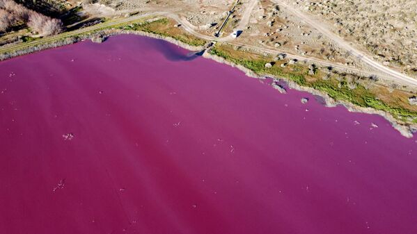 アルゼンチン南部・チュブト州トレレウ市近郊にある、化学物質によってピンク色に染まったラグーン（潟湖） - Sputnik 日本