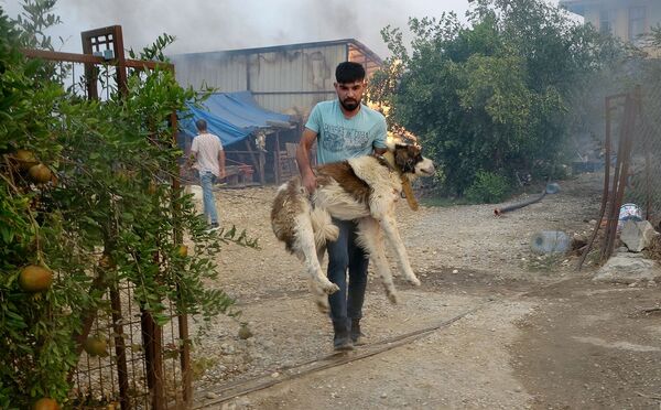 火が燃え移った家から飼い犬を救出する男性 - Sputnik 日本