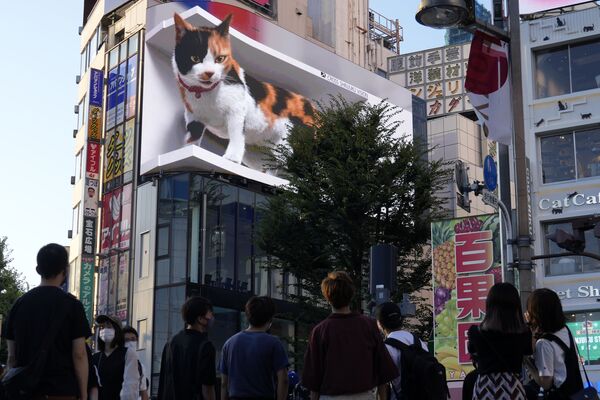 東京都・新宿駅前のビルの上に設置された3D猫 - Sputnik 日本
