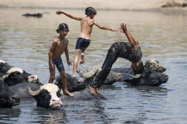 イラク・バグダッドを流れる川で水遊びをする少年ら - Sputnik 日本