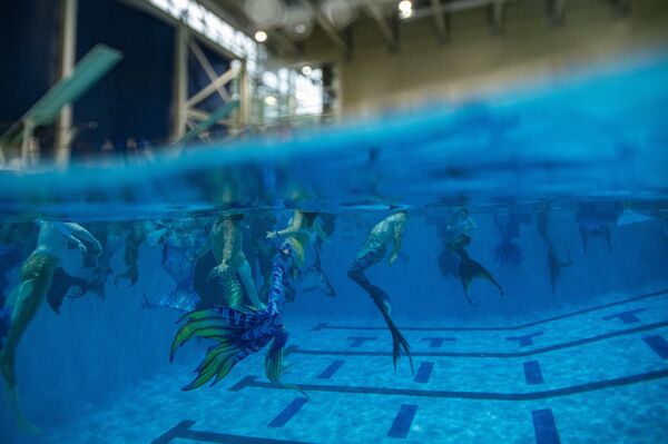 バージニア州マナサスで行われた「マー・マジック・コン」で、人魚に扮しプールを泳ぐ参加者たち - Sputnik 日本
