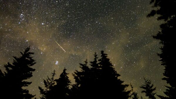 Ранний метеорный поток Персеиды, наблюдаемый в Спрус-Ноб, Западная Вирджиния - Sputnik 日本