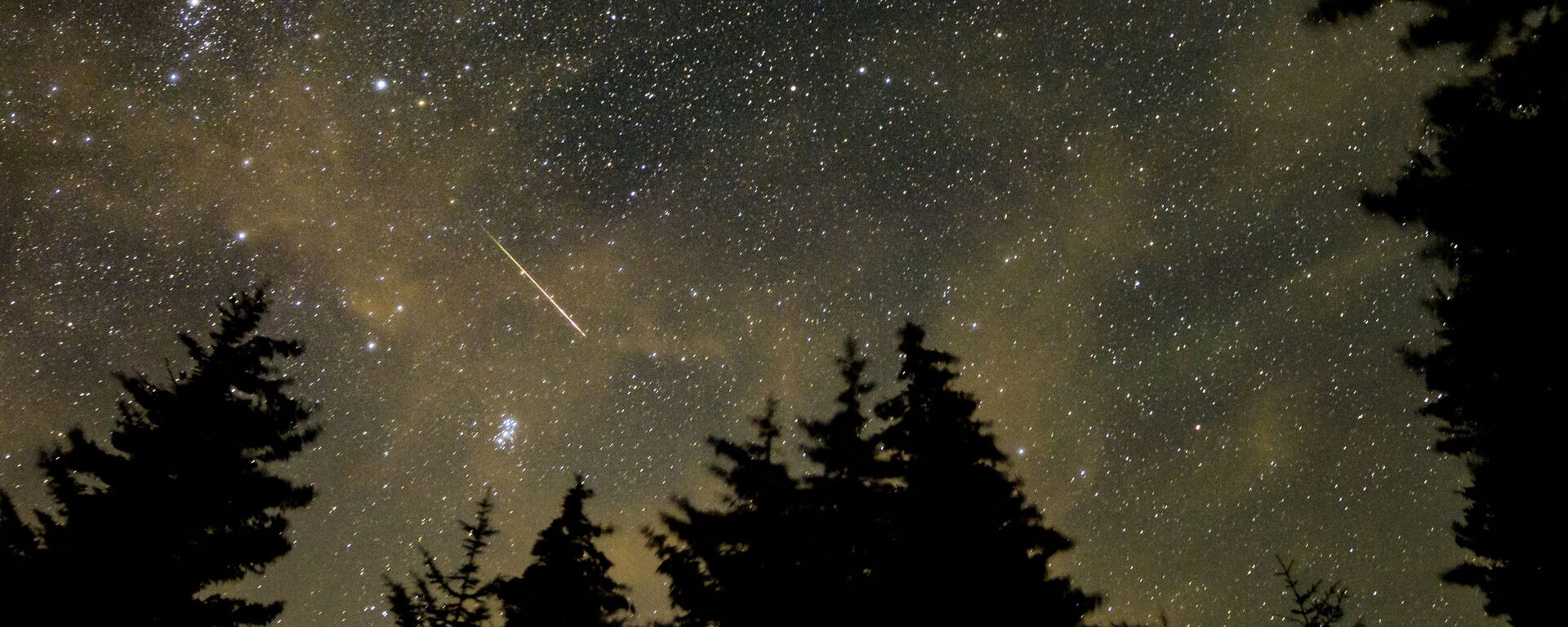 Ранний метеорный поток Персеиды, наблюдаемый в Спрус-Ноб, Западная Вирджиния - Sputnik 日本, 1920, 05.03.2022