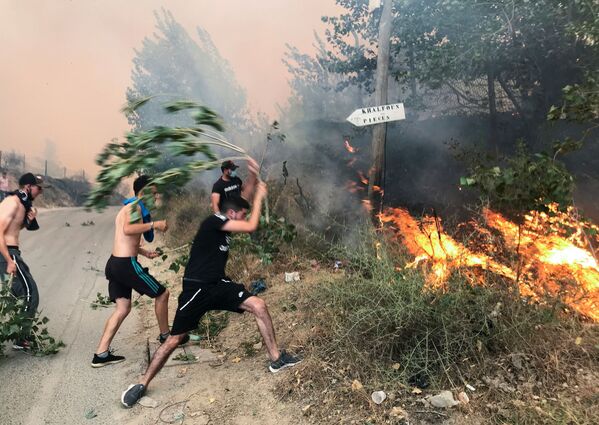 アルジェリア首都・アルジェ近郊で、森林火災の火を消そうとする市民ら - Sputnik 日本