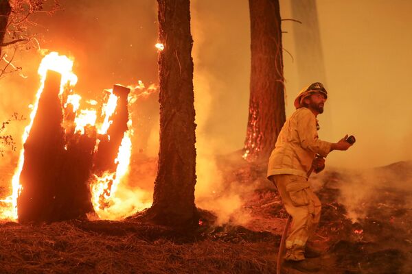 米カリフォルニア州テイラーズビル付近で発生した森林火災「ディクシー・ファイア」の消火活動にあたる消防士 - Sputnik 日本