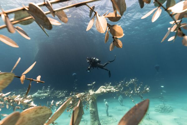 キプロスのアヤ・ナパ沖の海底にオープンした彫刻美術館「MUSAN」を探索するダイバー - Sputnik 日本