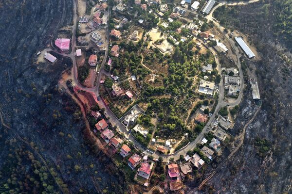 大規模な森林火災により焼失したエルサレム近郊の森林 - Sputnik 日本
