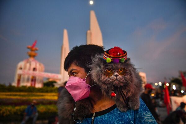 タイ・バンコクで行われたプラユット・チャンオチャ首相の辞任を求めるデモで、飼い主の肩に乗っかる猫 - Sputnik 日本