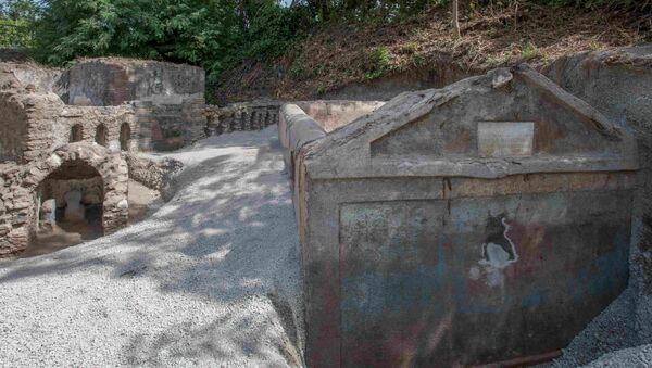 古代都市ポンペイで司祭の墓が発見される　イタリア - Sputnik 日本