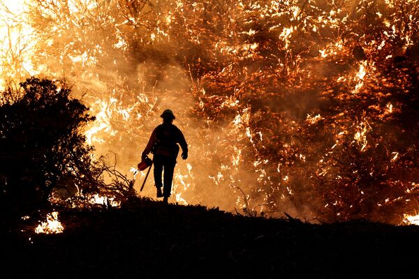 米カリフォルニア州グリズリーフラッツで、山火事の消火活動にあたる消防隊員 - Sputnik 日本