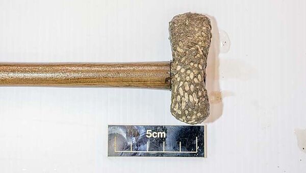 英国のゴルフ場で、青銅器時代の棺と斧が見つかる - Sputnik 日本