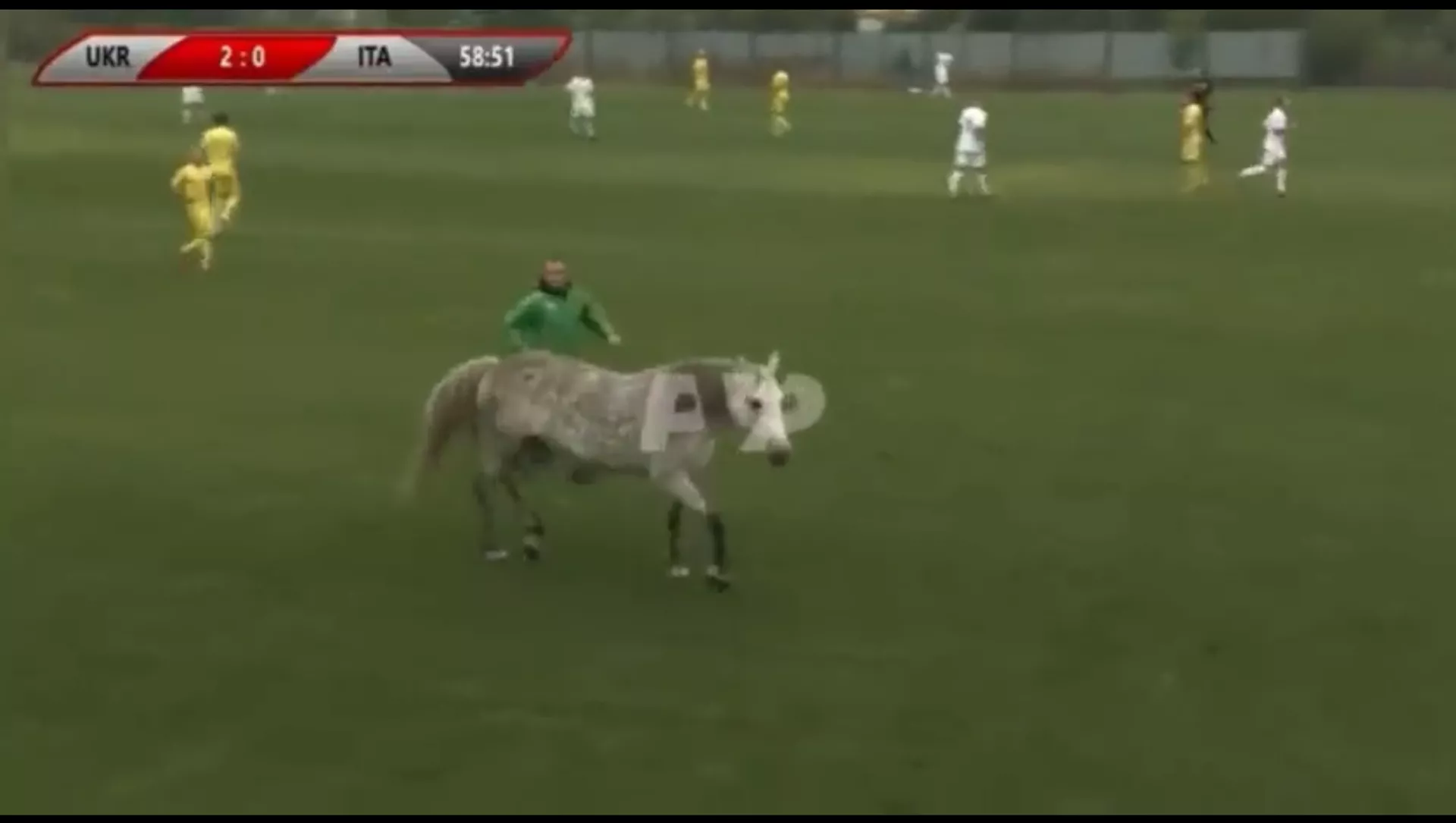 ウクライナとイタリアのサッカーの試合に犬2匹と馬が乱入