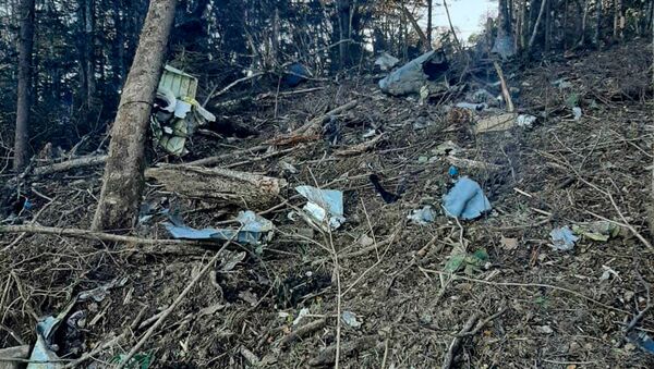 ハバロフスク郊外でAn-26機墜落　乗員全員死亡 - Sputnik 日本