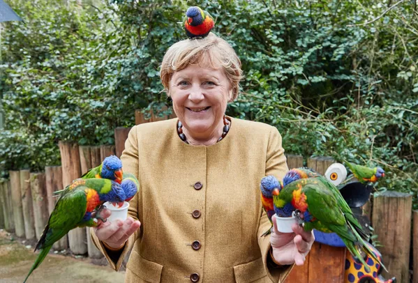 ドイツ・マルローにあるバードパークでヒインコに餌をあげながらポーズをとるアンゲラ・メルケル首相 ドイツ・マルローにあるバードパークでヒインコに餌をあげながらポーズをとるアンゲラ・メルケル首相 - Sputnik 日本