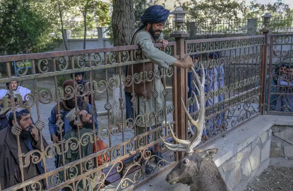 アフガニスタンのカブール動物園で、鹿にタリバン(ロシアではテロ組織と認定、活動禁止)の戦闘員 アフガニスタンのカブール動物園で、鹿にタリバン(ロシアではテロ組織と認定、活動禁止)の戦闘員 - Sputnik 日本
