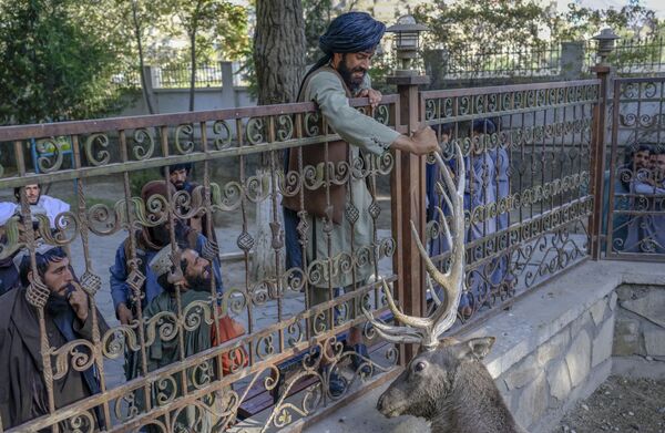 アフガニスタンのカブール動物園で、鹿にタリバン（ロシアではテロ組織と認定、活動禁止）の戦闘員 - Sputnik 日本