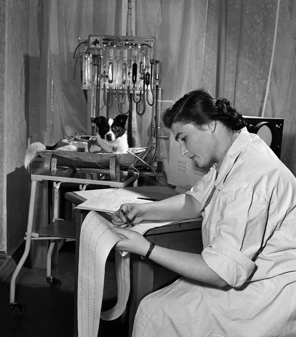 ライカの世話をする生物学者、アドリア・コトフスカヤ氏（1956年11月9日）。ライカは翌年11月3日、世界初の宇宙飛行犬として人工衛星「スプートニク2号」に搭乗した - Sputnik 日本