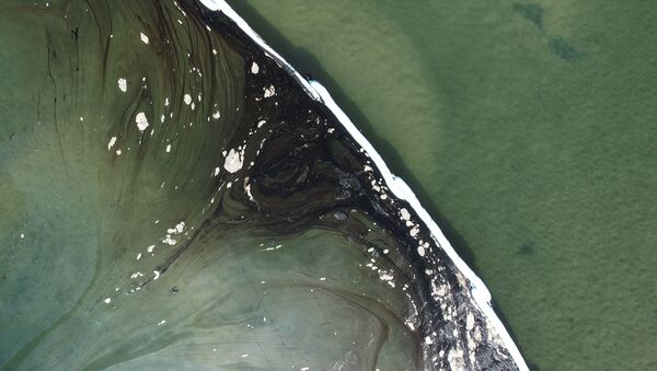 ニューポートビーチの海岸で、パイプラインから到達した原油を封じ込めるオイルフェンス - Sputnik 日本