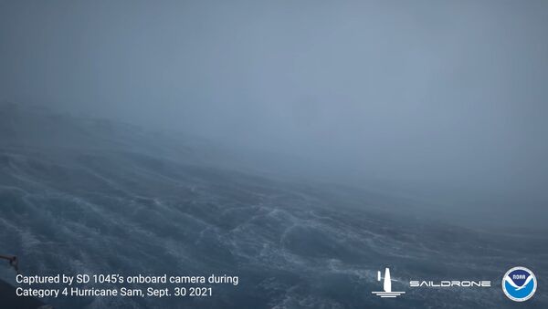 世界初　海洋ドローンがハリケーン内部の撮影に成功 - Sputnik 日本