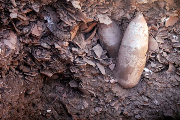 イスラエル・ヤブネで発見されたワイナリーの遺跡で、古代遺跡管理局が発掘した壺の破片 - Sputnik 日本