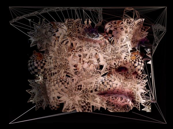 「デジタルアート」部門最優秀賞受賞作品『Puzzle』　M. Cecilia São Thiago氏 - Sputnik 日本