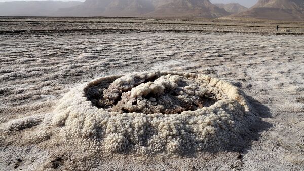 Кристаллизованные минералы высохшего морского участка южной части Мертвого моря - Sputnik 日本
