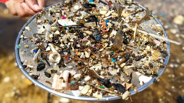 Микропластик - маленькие кусочки пластика, загрязняющие окружающую среду - Sputnik 日本
