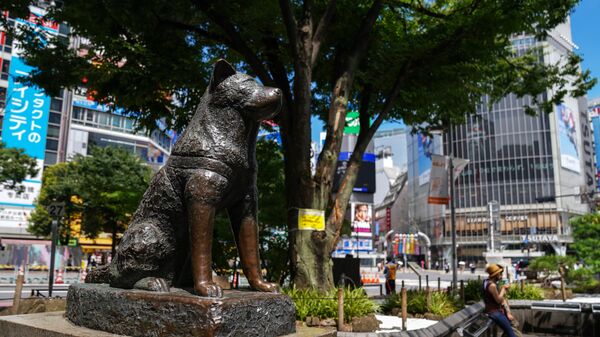 通り魔か　東京・渋谷　母子2人が刃物で襲われる　自称15歳女を逮捕 - Sputnik 日本