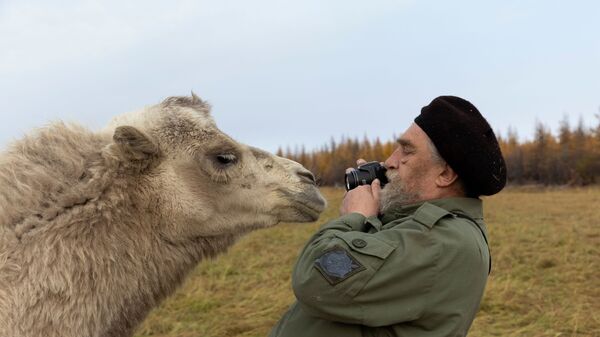 66-летний Сергей Зимов, ученый, работающий на Северо-восточной научной станции России, пытается сфотографировать верблюда в плейстоценовом парке недалеко от города Черский, Республика Саха, Россия - Sputnik 日本