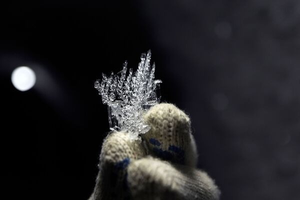 更新世公園で、永久凍土の物質を保管している地下で氷の結晶を手にするセルゲイ・ジモフさん - Sputnik 日本