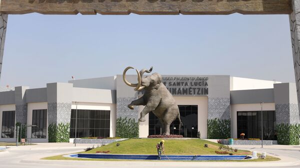Новый музей мамонта Quinametzin в Мехико, Мексика - Sputnik 日本