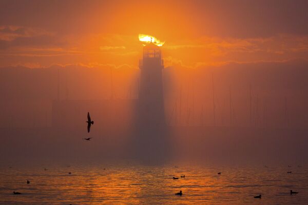 最終選考通過作品英イングランドの「スカボロー灯台」（撮影：Andrew McCaren） - Sputnik 日本