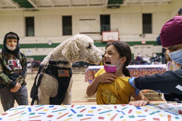 新型コロナウイルスのワクチン接種を受ける間、少女の顔をなめるセラピー犬（米ロードアイランド州・ポータケット、7日） - Sputnik 日本