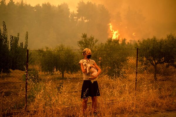 夏、ギリシャは過去30年で最悪の熱波に見舞われ、各地で大規模な山火事が発生。8月3日、国内の最高気温は47.1に達した - Sputnik 日本